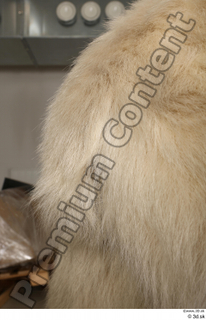 Polar bear tail 0001.jpg